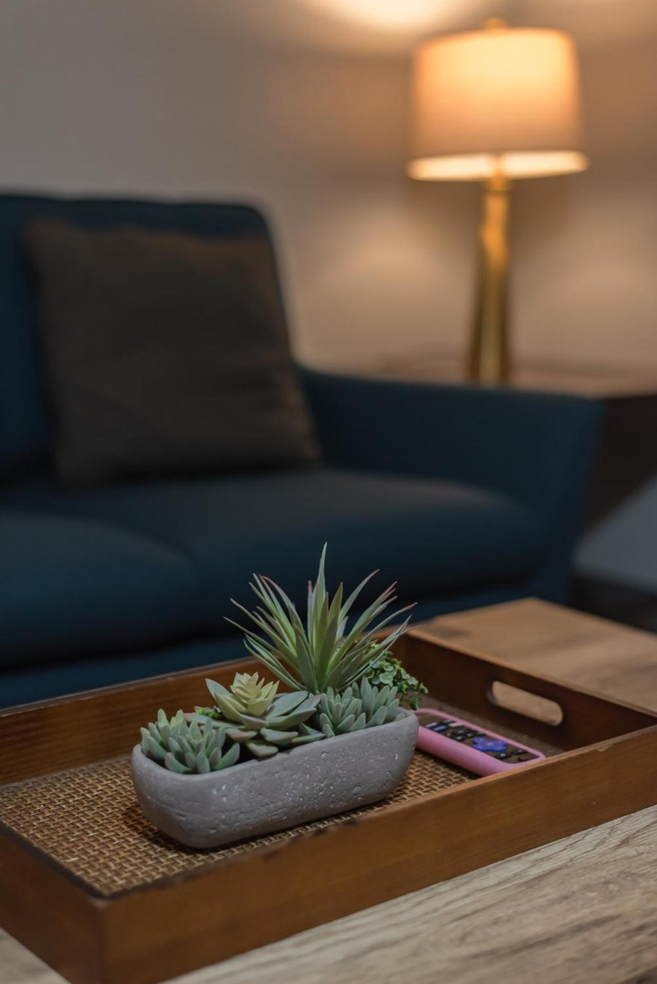 Beautiful Apartment At The Botanical Gardens #1 San Antonio Ngoại thất bức ảnh